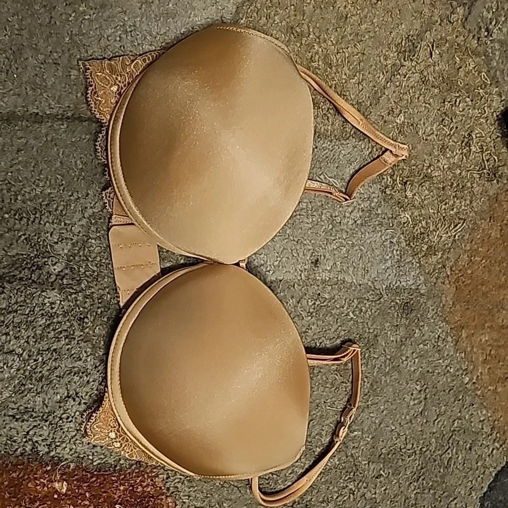 Fredericks Of Hollywood pushup bra